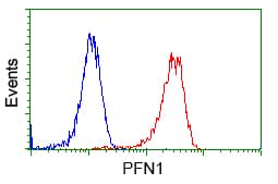 PFN1 / Profilin 1 Antibody (clone OTI2D2, Carrier-free)