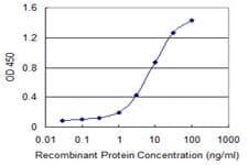 Monoclonal Mouse anti-Human CDC42BPG Antibody (clone 2C3, WB)