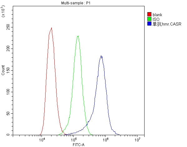 CASR/Calcium Sensing Receptor Antibody
