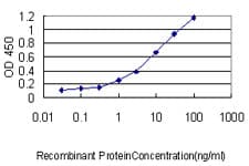 Monoclonal Mouse anti-Human USF1 / USF Antibody (clone 3F6, WB)