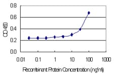 Monoclonal Mouse anti-Human Cystatin SA / CST2 Antibody (clone 4E10, WB)