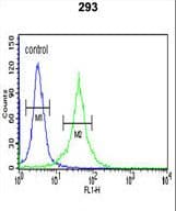 DCD / Dermcidin Antibody (aa74-103)
