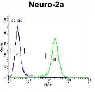 Polyclonal Rabbit anti-Human ZDHHC2 Antibody (aa77-106, IHC, WB)