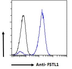 FSTL1 Antibody (aa296-308)