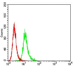 CCR7 Antibody (clone 7A5A9)