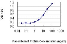 IHC-plus™ PKIB Antibody (clone 7F8)