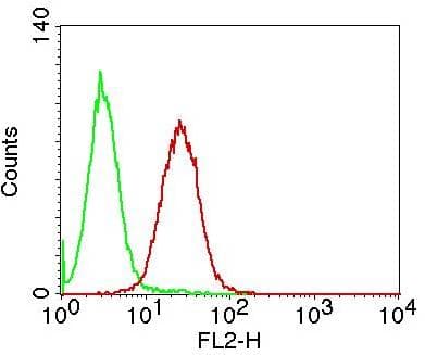 TNFSF11 / RANKL / TRANCE Antibody
