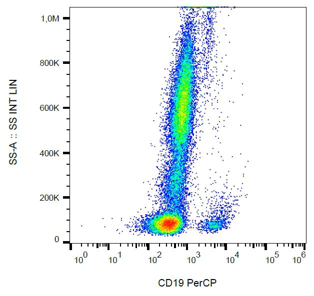 CD19 Antibody (clone 4G7, PerCP)