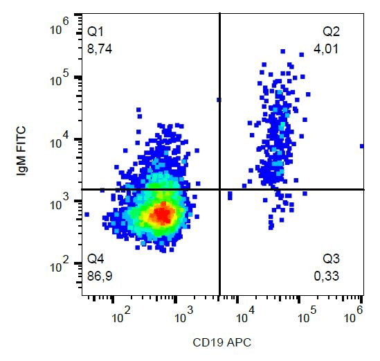 Monoclonal Mouse Anti-Human IgM Secondary Antibody (clone CH2, FITC, WB)