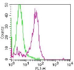 Monoclonal Mouse anti-Human ANPEP / CD13 Antibody (clone BF10, FITC)