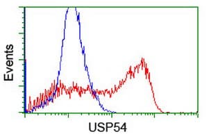 USP54 Antibody (clone OTI1G6)