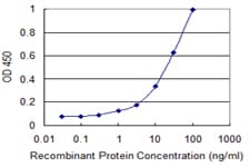 Monoclonal Mouse anti-Human L1CAM Antibody (clone 3B10, WB)