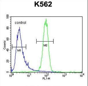 Polyclonal Rabbit anti-Human MCHR1 Antibody (aa396-422, IHC, WB)