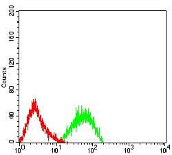 FCRL5 / CD307 Antibody (clone 2A10H7)