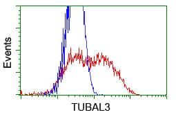 TUBAL3 Antibody (aa150-446, clone OTI1G6, Carrier-free)