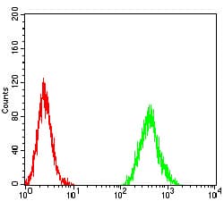 IHC-plus™ CCND1 / Cyclin D1 Antibody (clone 3B6G3)