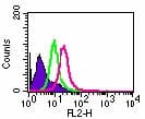 IHC-plus™ TLR8 Antibody (aa750-850, clone 44C143)