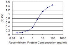 ZNF239 Antibody (clone 2D9)