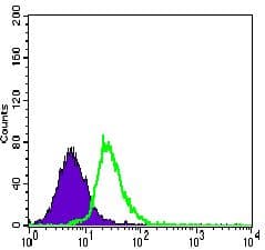MEF2C Antibody (Amino Acid: 1-125, clone 6H2G2)