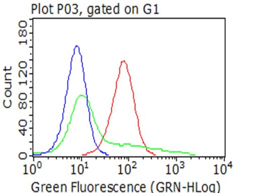 PDPN / Podoplanin Antibody (aa23-131, clone OTI7B4)