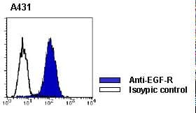 EGFR Antibody (clone 6F1)