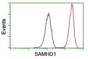 SAMHD1 Antibody (clone 3F5, Carrier-free)