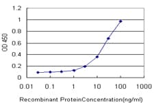CCL7 / MCP3 Antibody (clone 4B5)