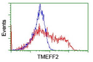 TMEFF2 Antibody (clone OTI4G2)