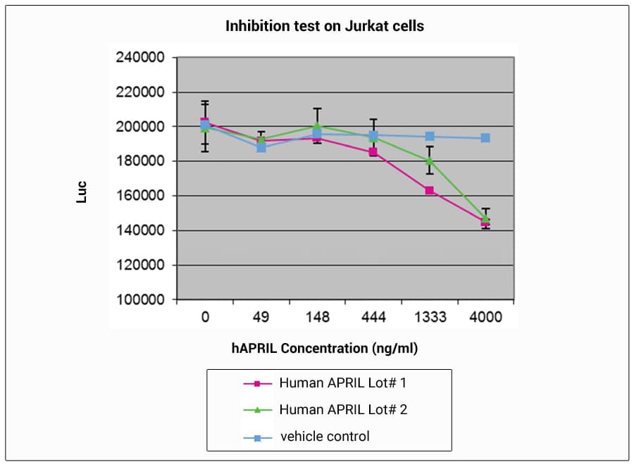 Human TNFSF13 / APRIL Protein (Recombinant)