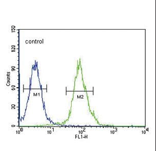 Polyclonal Rabbit anti-Human TPH2 Antibody (aa168-193, IHC, WB)