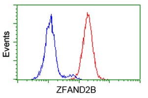 ZFAND2B Antibody (clone OTI1G10)