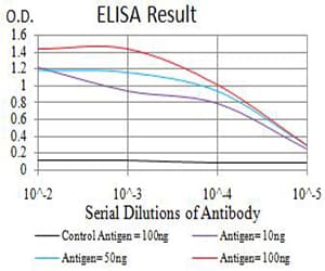 BCL11B Antibody (clone 1F8G8)