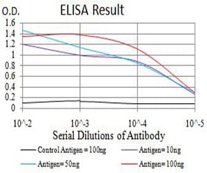 PAK3 Antibody (clone 4G8F11)