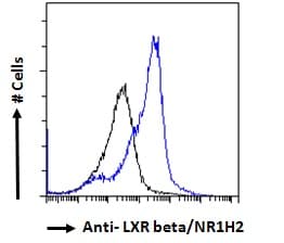 IHC-plus™ NR1H2 / LXR Beta Antibody (aa2-15)