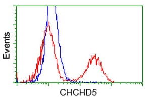 CHCHD5 Antibody (clone OTI9E11)