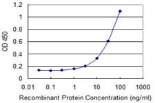 ZNF232 Antibody (clone 1F8)