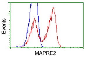 MAPRE2 / EB2 Antibody (clone OTI1D10)