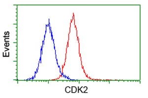CDK2 Antibody (clone OTI4B4)