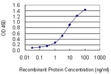 E2F3 Antibody (clone 5F7)