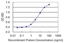 SLC26A2 Antibody (clone 3F6)