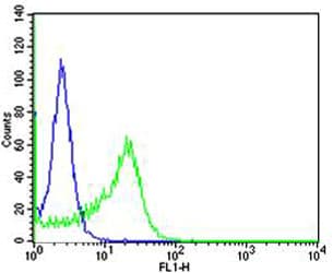 IL4R / CD124 Antibody (aa677-691)