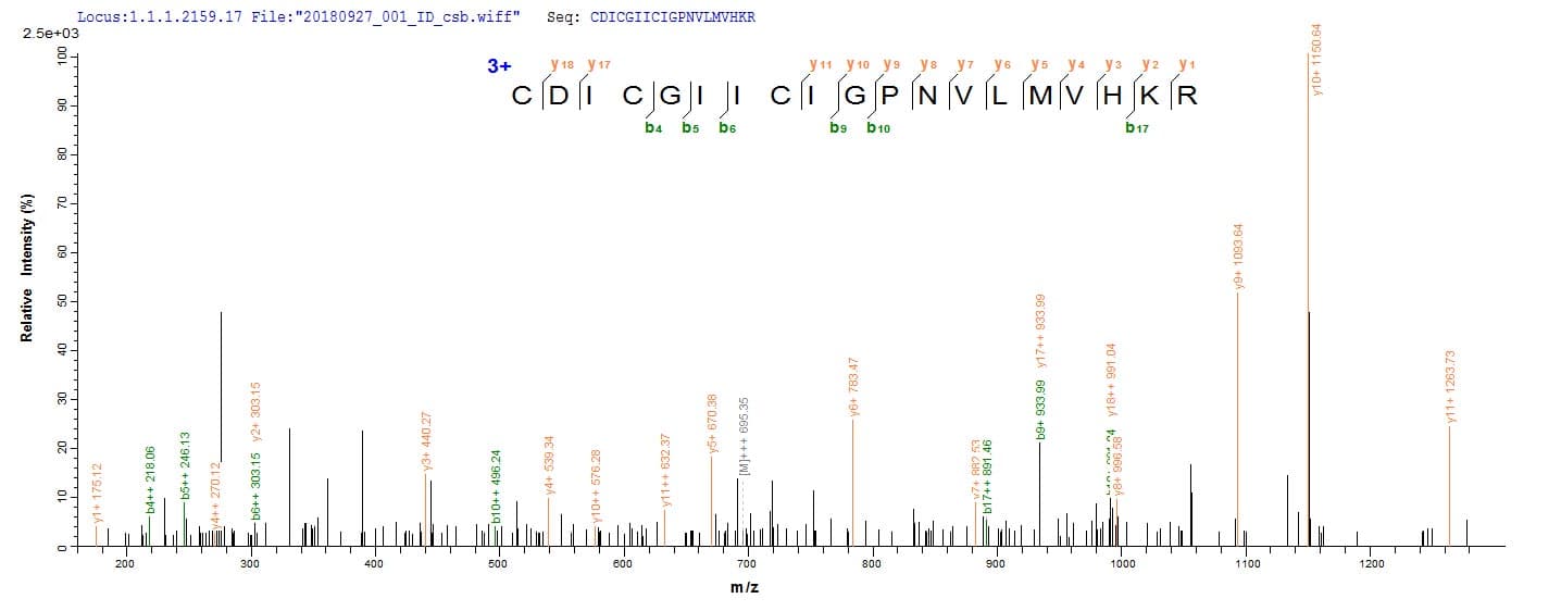 Human IKZF1 / IKAROS Protein (Recombinant 6His-AVI, N-terminus)