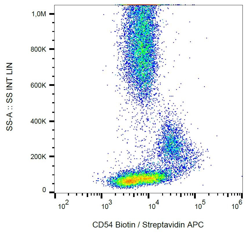 Monoclonal Mouse anti-Human ICAM-1 / CD54 Antibody (clone 1H4, Biotin, IHC, WB)