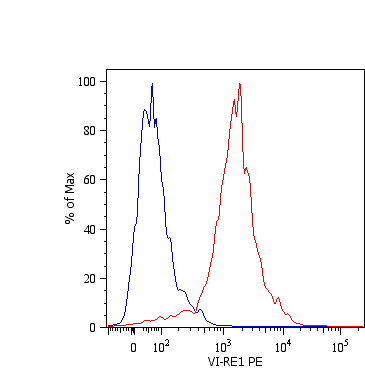 Vimentin Antibody (clone VI-RE/1, PE)