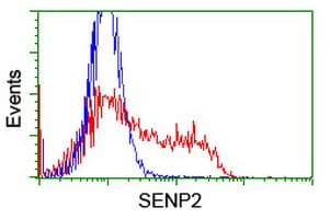 SENP2 Antibody (clone OTI3D12)