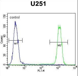 SLC35F6 Antibody (aa329-358)