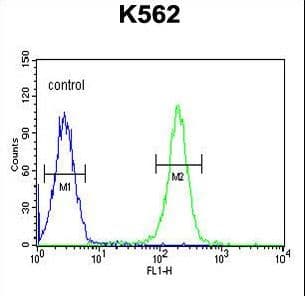 PAX1 Antibody (aa443-471)