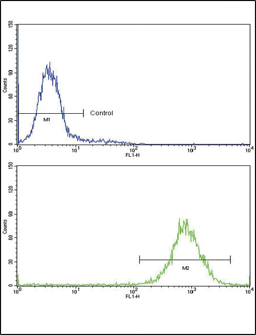 Polyclonal Rabbit anti-Human MDH / MDH2 Antibody (aa86-115, IHC, WB)