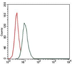 HAS3 Antibody (clone 3C9)