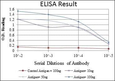 AURKA / Aurora-A Antibody (clone 1F8)